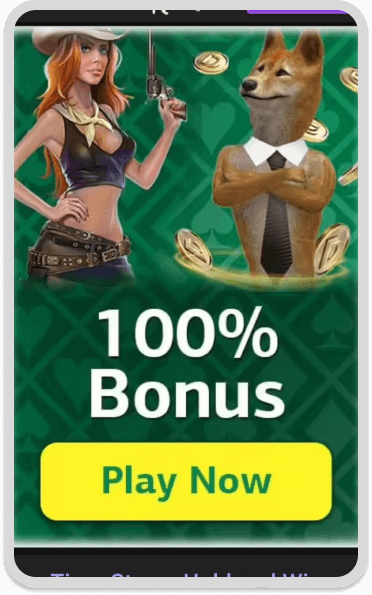 Dingo
