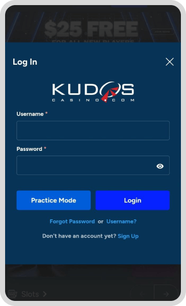 Kudos 