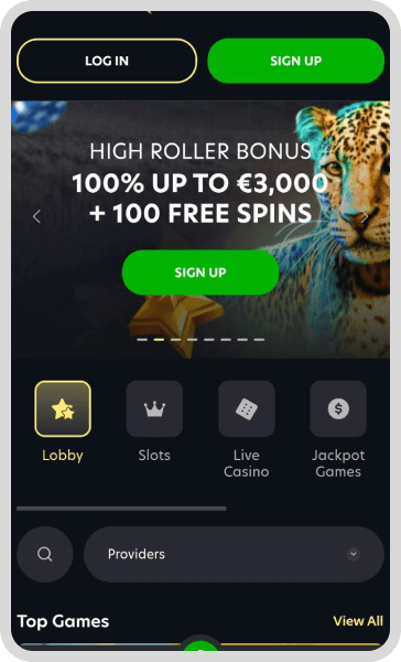 LionSpin