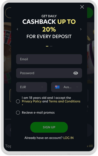 LionSpin